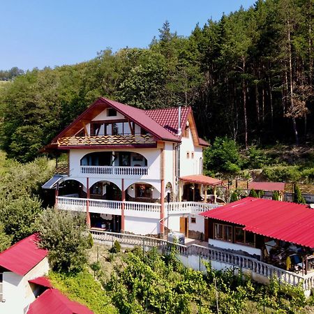 Vila Victoria Pangarati Exteriér fotografie